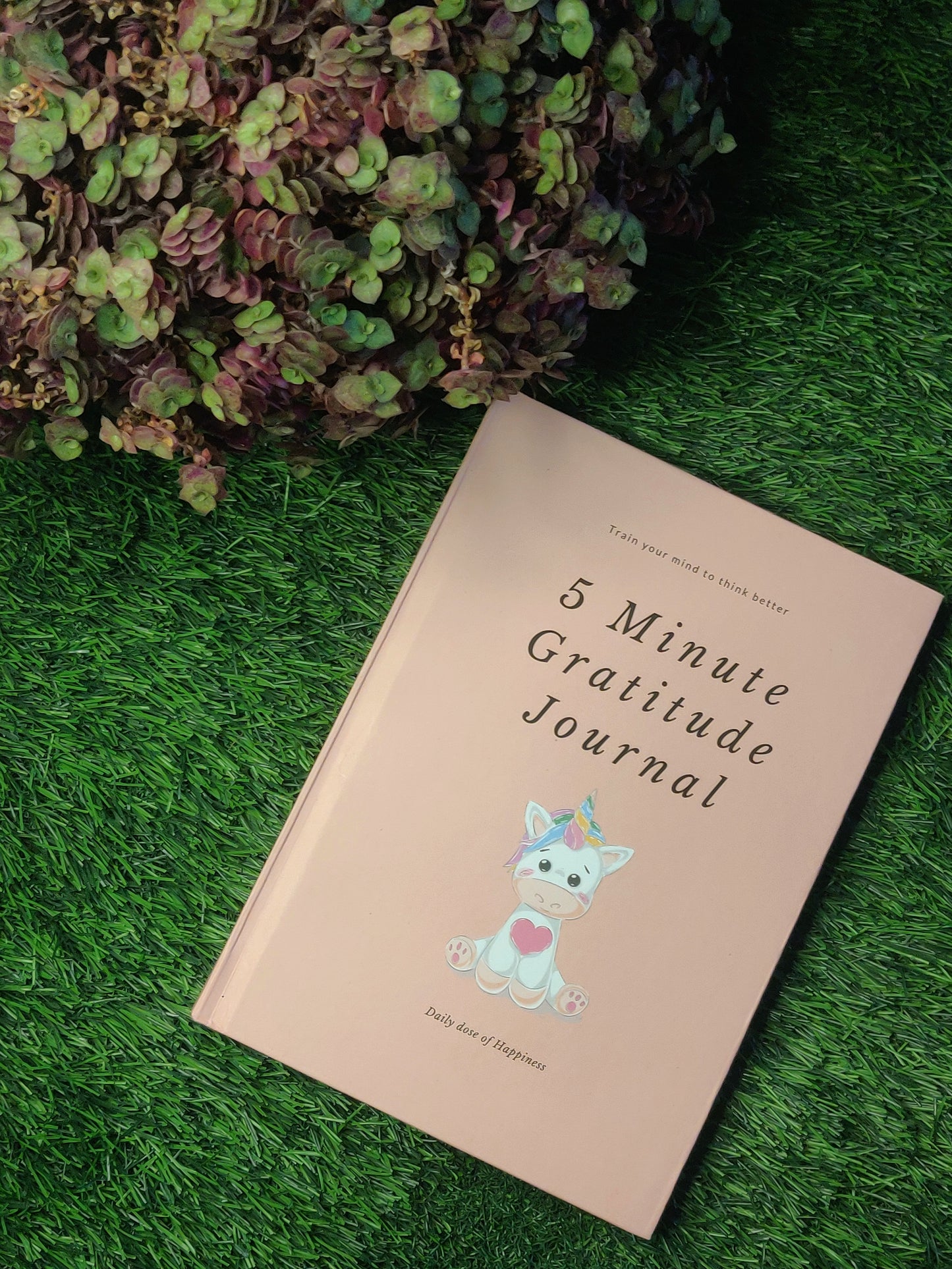 5 Minute Gratitude Journal - Self Help Personality Development Book - Pink