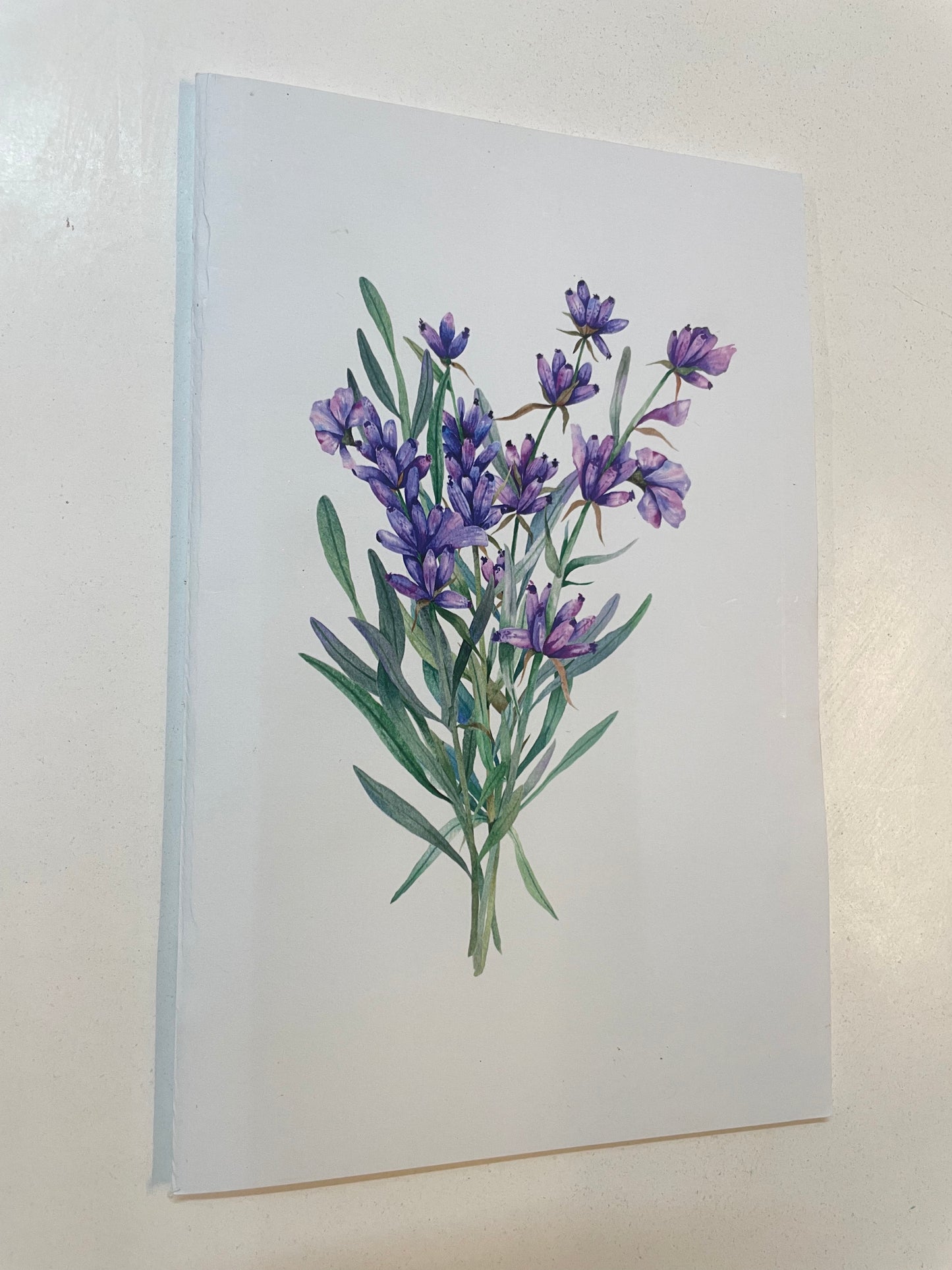 Enlightink A5 Handy Cute Unruled, Plain, Floral notebooks for everyone Set of 4 for doodling, Writing Notebooks - Matte Finished - Journal Diary