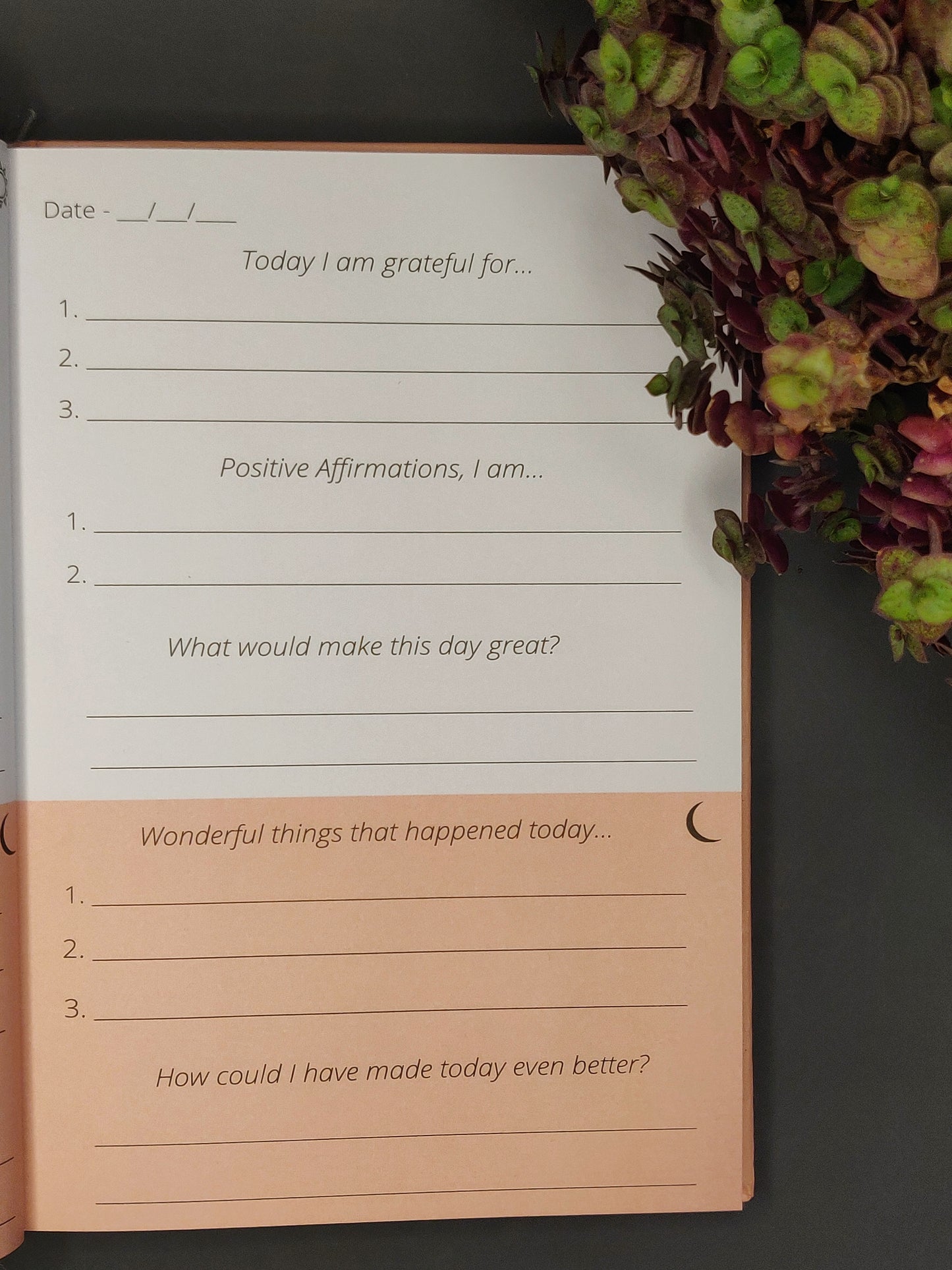 5 Minute Gratitude Journal - Self Help Personality Development Book - Pink