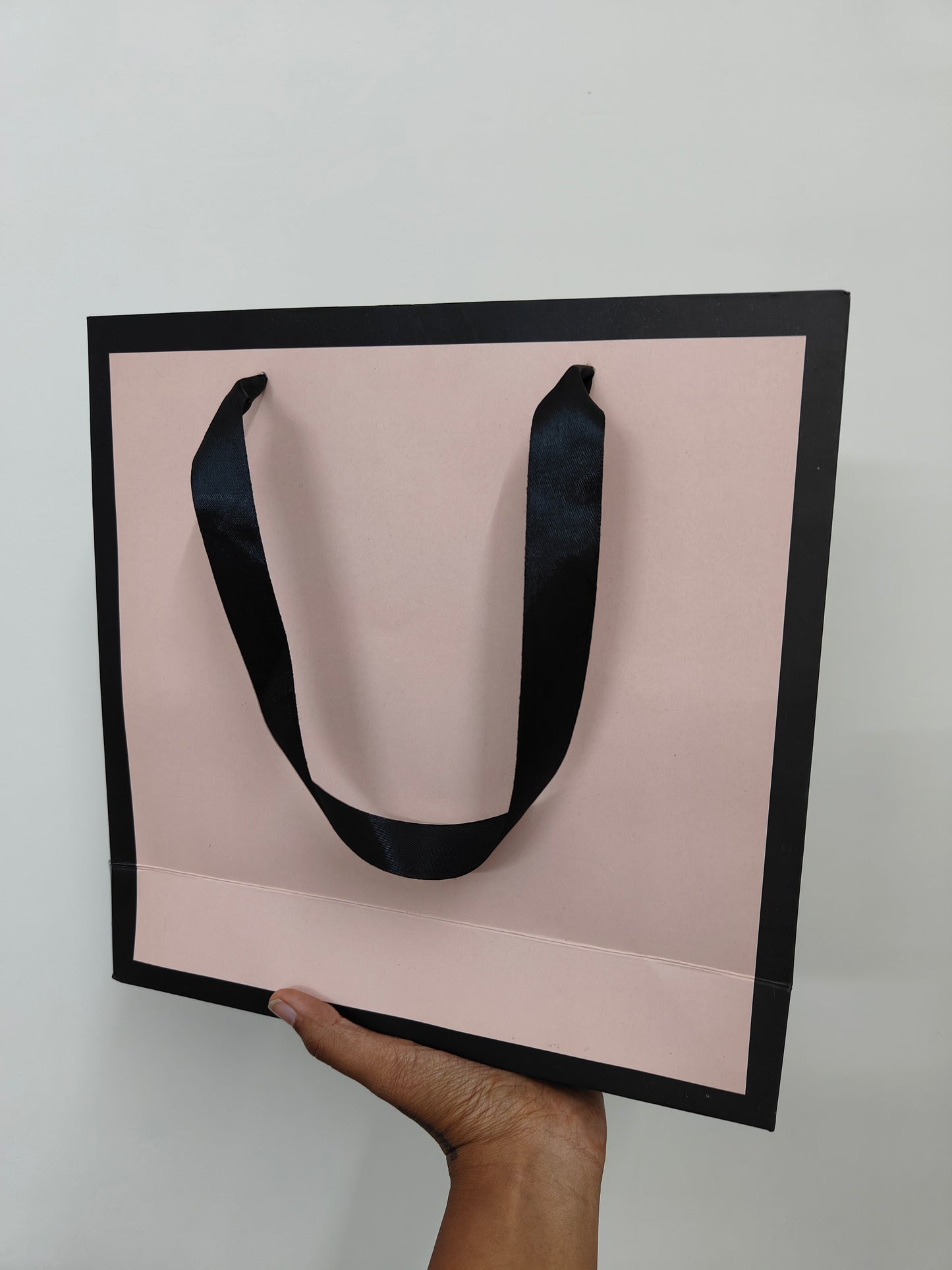Chic Pastel Color Giftbag | Can hold upto 2-3 kgs | Reusable