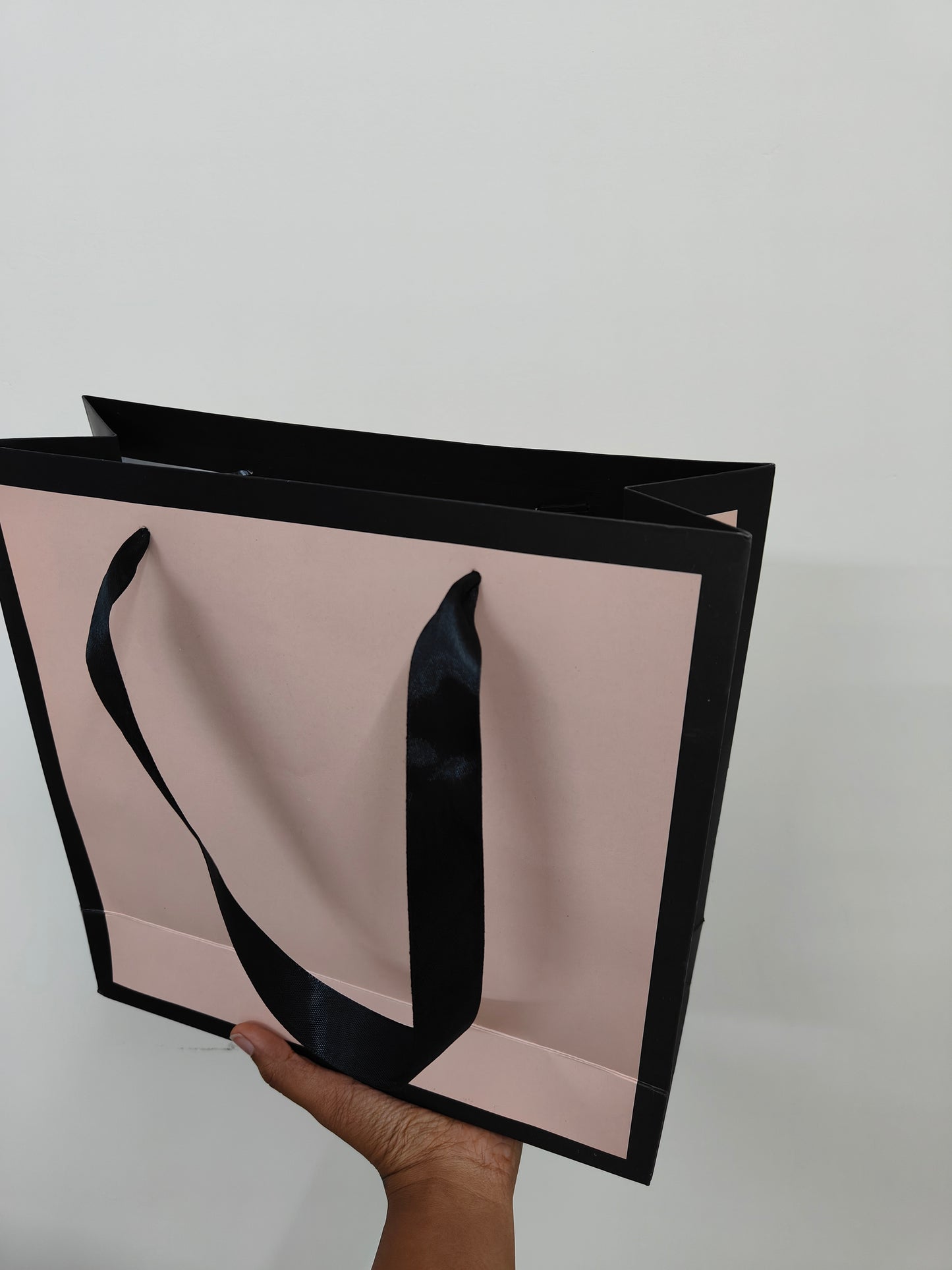 Chic Pastel Color Giftbag | Can hold upto 2-3 kgs | Reusable